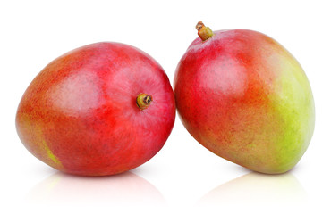 Two ripe mango fruit isolated on white with clipping path
