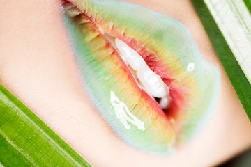 Ausführliche Nahaufnahme der Lippen der Frau. Buntes Make-up. © Piotr Marcinski