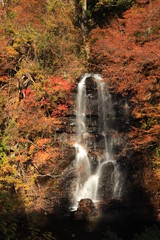 Fototapeta na wymiar Wodospad jesienią