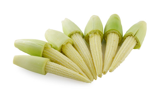 Young small corn