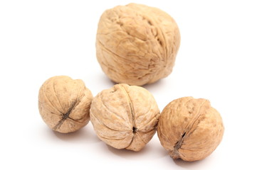 Brown and fresh walnuts on white background