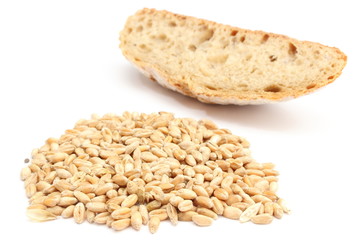 Wheat grain and slice of bread on white background