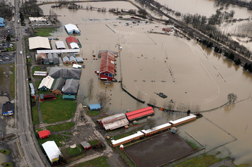 Fototapeta na wymiar Powód¼ w stanie Waszyngton