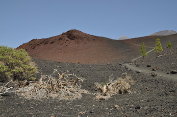 Montana de la Botija, Teneriffa