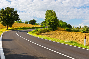 Fototapeta premium Plowed Fields