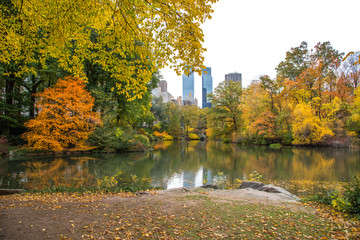 Autumn leaves foliage in New York City Central Park
