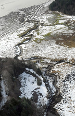Cowlitz River flooding, Washington state