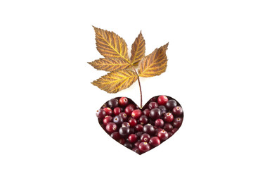 Cranberries in heart shape