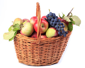 Fruit in the basket.