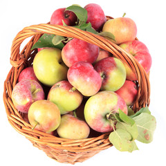 Apples in the basket, isolated.