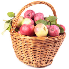 Apples in the basket, isolated.