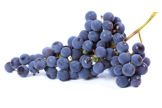 Grapes on a white background.