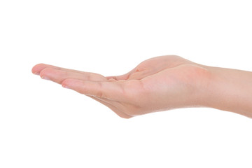 Open palm male hand  isolated on a white background