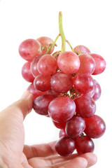 red grape isolated on white