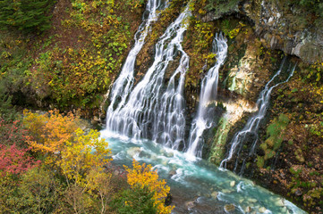 秋の白ひげの滝