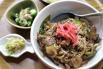 japanese beef over rice, gyudon food set