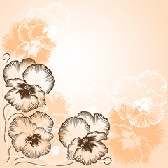 background with white and brown flowers violets