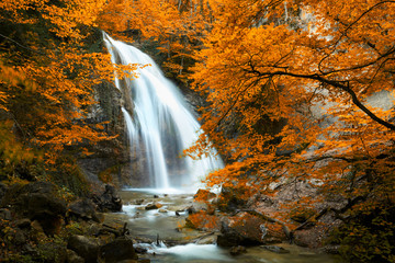 Fototapeta na wymiar Piękny wodospad. Jesień