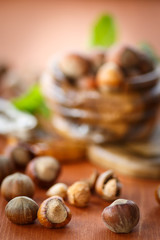 hazelnut