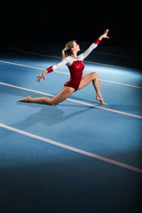 portrait of young gymnasts competing in the stadium - 58146027