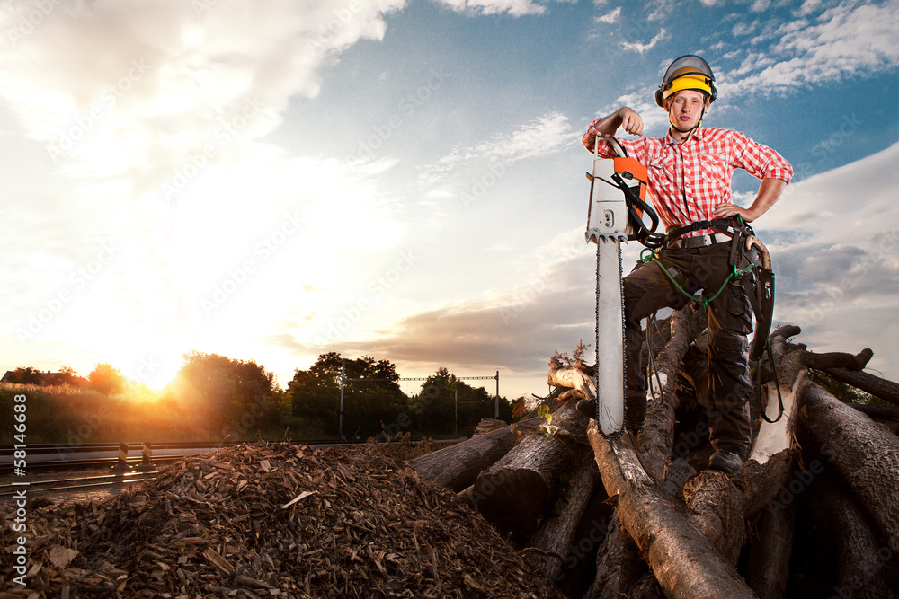 Wall mural lumberjack with chainsaw