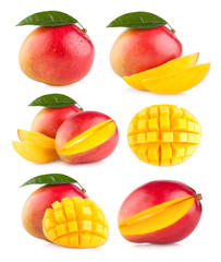 collection of 6 mango images - obrazy, fototapety, plakaty