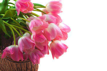Bright flowers in basket