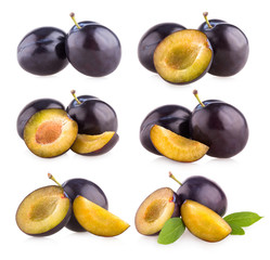 collection of 6 plum images © Viktar Malyshchyts