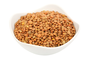 Lentil seeds