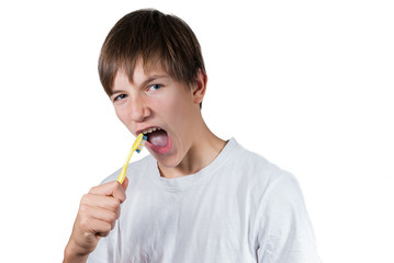 Young smart boy brushing his teeth