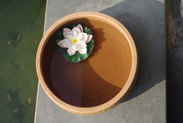 Obraz na płótnie Canvas lotus floating in water clay pot at spa