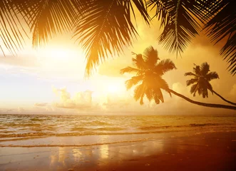 Poster zonsondergang op het strand van de Caribische zee © Iakov Kalinin