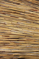 Thatched Roof of  Umbrella