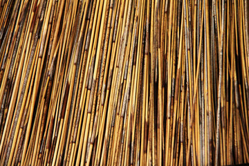 Thatched Roof of  Umbrella