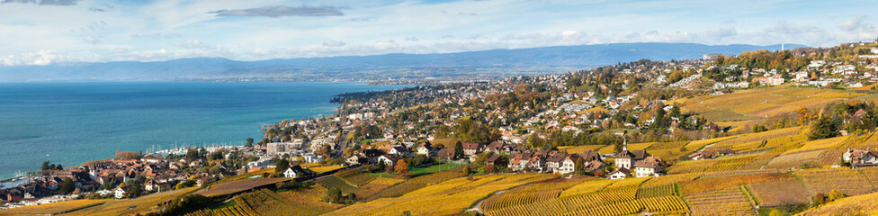 Obraz premium Vineyards in Lavaux region - Terrasse de Lavaux, Switzerland