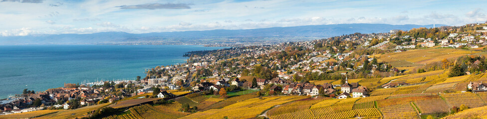Fototapeta na wymiar Winnic w regionie Lavaux - taras Lavaux, Szwajcaria