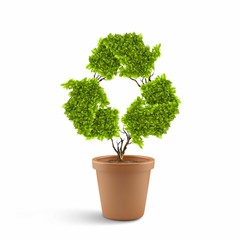 Ecology concept