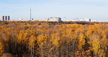 Fototapeta na wymiar panorama with TV tower, houses and autumn trees