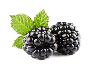 Blackberry with leaf