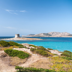 Stintino Sardinia