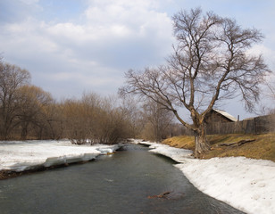 The last ice on stream coast