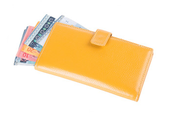 wallet. woman wallet with money on a background