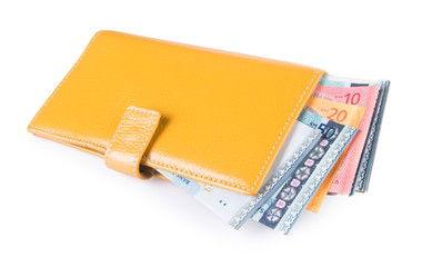 wallet. woman wallet with money on a background