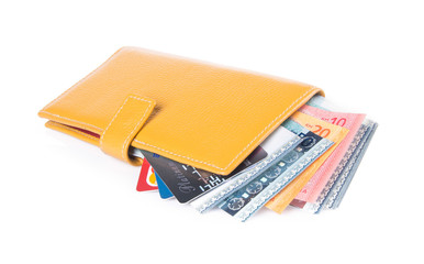 wallet. woman wallet with money on a background