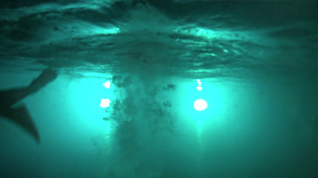 A man swimming freestyle at night.Camera goes underwater.
