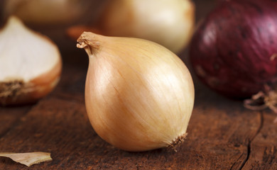 fresh onion