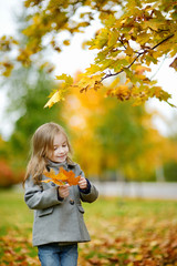 Adorable little girl having fun on autumn day