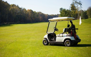 Golf-cart car on golf course