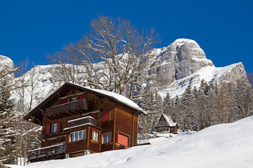 Winter in alps