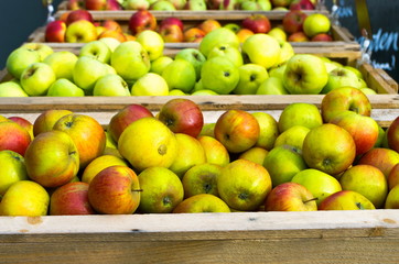 Fresh apples for sale at farmers market.